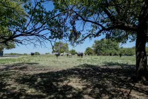 Valley View, TX 76272