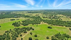 Jacksboro, TX 76458