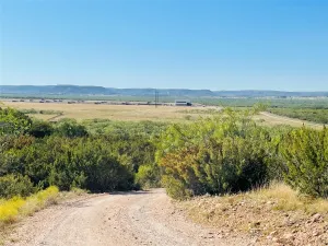 Bronte, TX 76933
