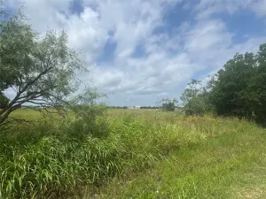 Kaufman, TX 75142