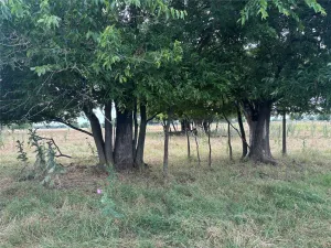 Valley View, TX 76272