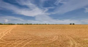 Marlin, TX 76661