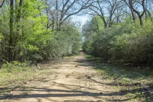 Rockdale, TX 76567