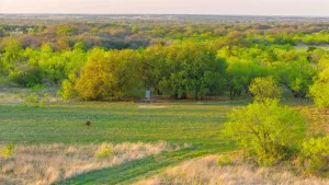 Comanche, TX 76442