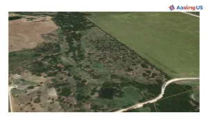 Celina, TX 75009