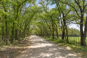 Gainesville, TX 76240