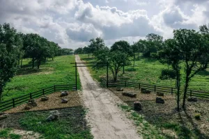 Mexia, TX 76667