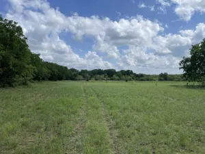 Chico, TX 76431