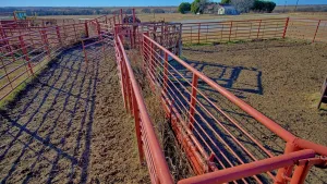 Petrolia, TX 76377