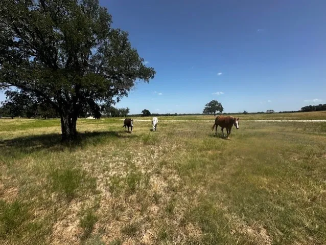 Lipan, TX 76462