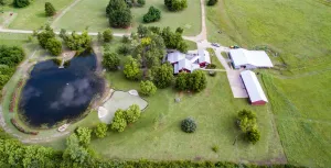 Paris, TX 75462