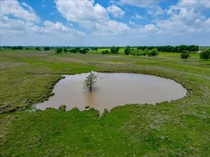 Covington, TX 76636