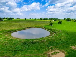 Covington, TX 76636