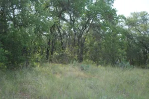 Comanche, TX 76442