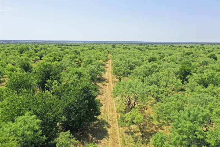 Perrin, TX 76486