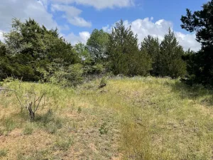 Chico, TX 76431