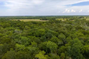Wills Point, TX 75169