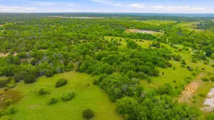 Aledo, TX 76008