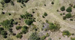 Terrell, TX 75161