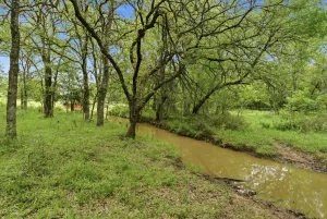 Bowie, TX 76230