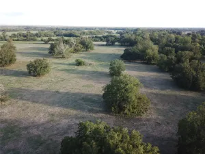 Mexia, TX 76667