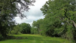 Kerens, TX 75144