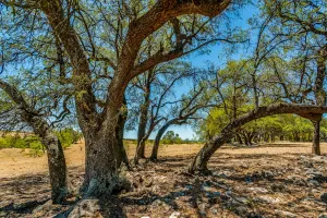 Cresson, TX 76035