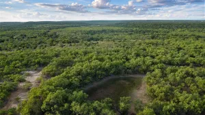 Caddo, TX 76429
