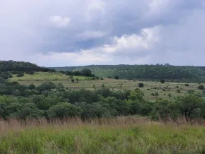 Marble Falls, TX 78654
