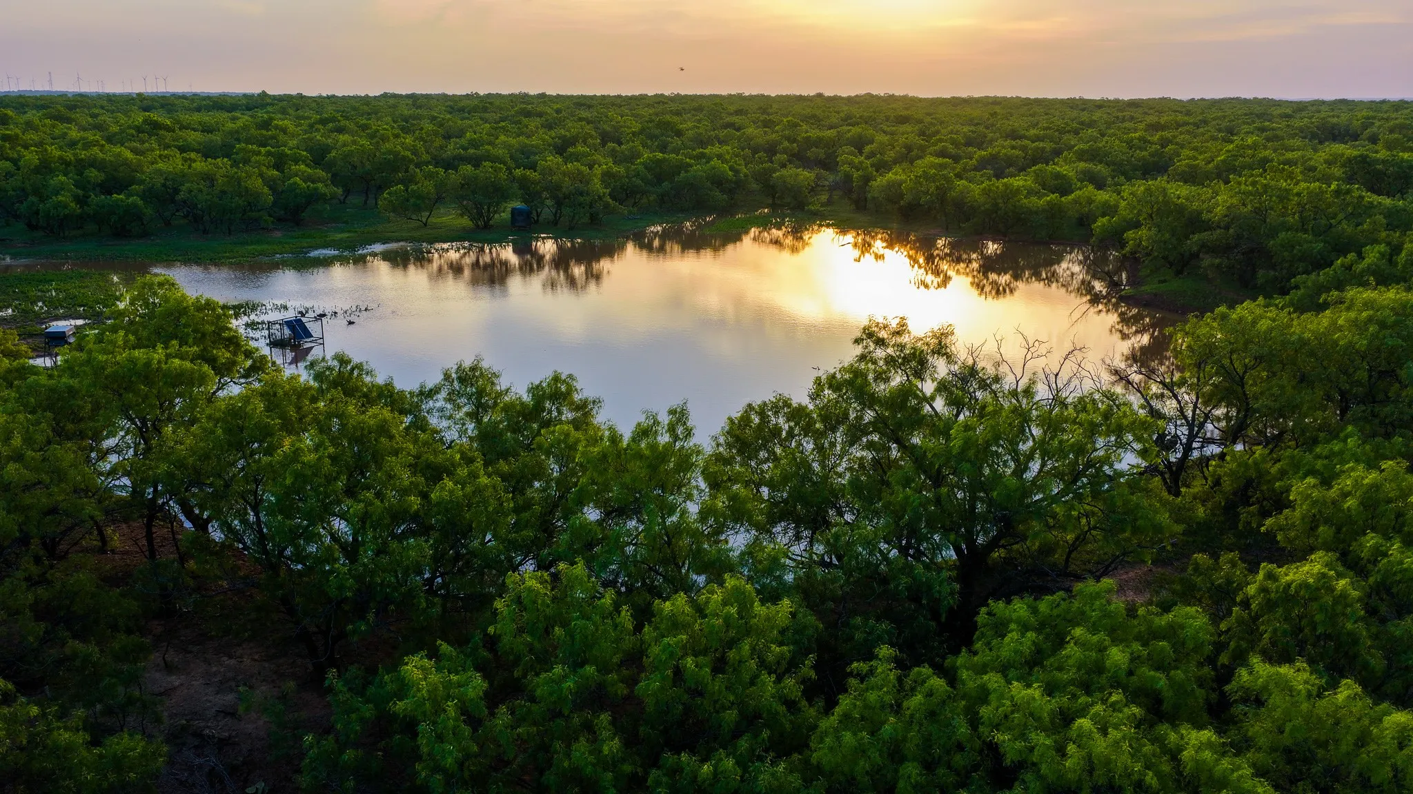 Graham, TX 76450
