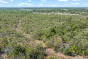 Terrell, TX 75160