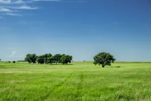 Henrietta, TX 76230