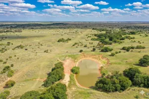 Harrold, TX 76364