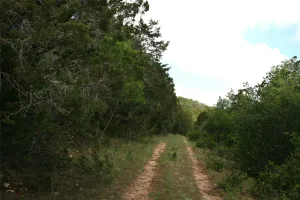 Strawn, TX 76475