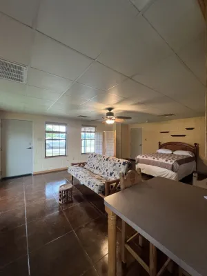 Edgewood, TX 75117