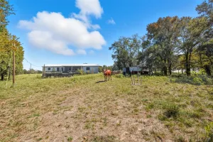 Lone Oak, TX 75453