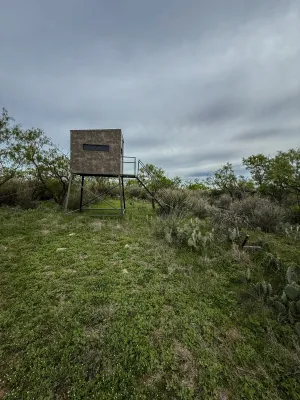 Voss, TX 76888