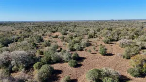 Gonzales, TX 78632