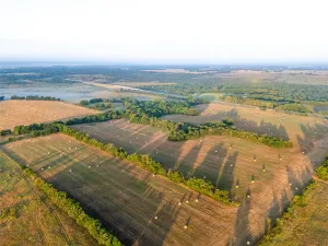 Honey Grove, TX 75446