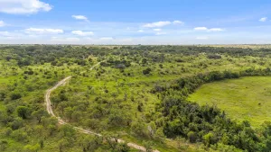 Hamilton, TX 76531