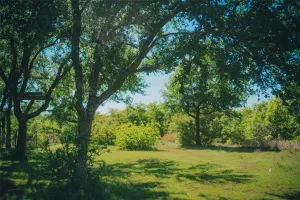 Annetta, TX 76008