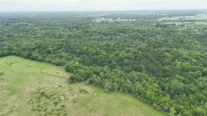 Mabank, TX 75147