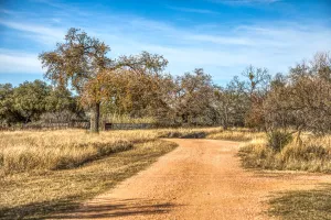 Talpa, TX 76882