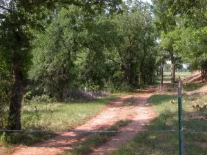 Gorman, TX 76454