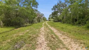 Hallettsville, TX 77964