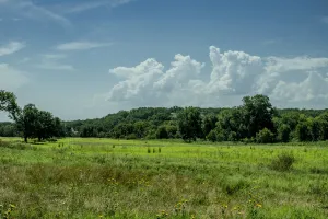 Henrietta, TX 76230