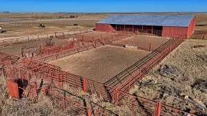 Petrolia, TX 76377