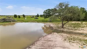 Hallettsville, TX 77964