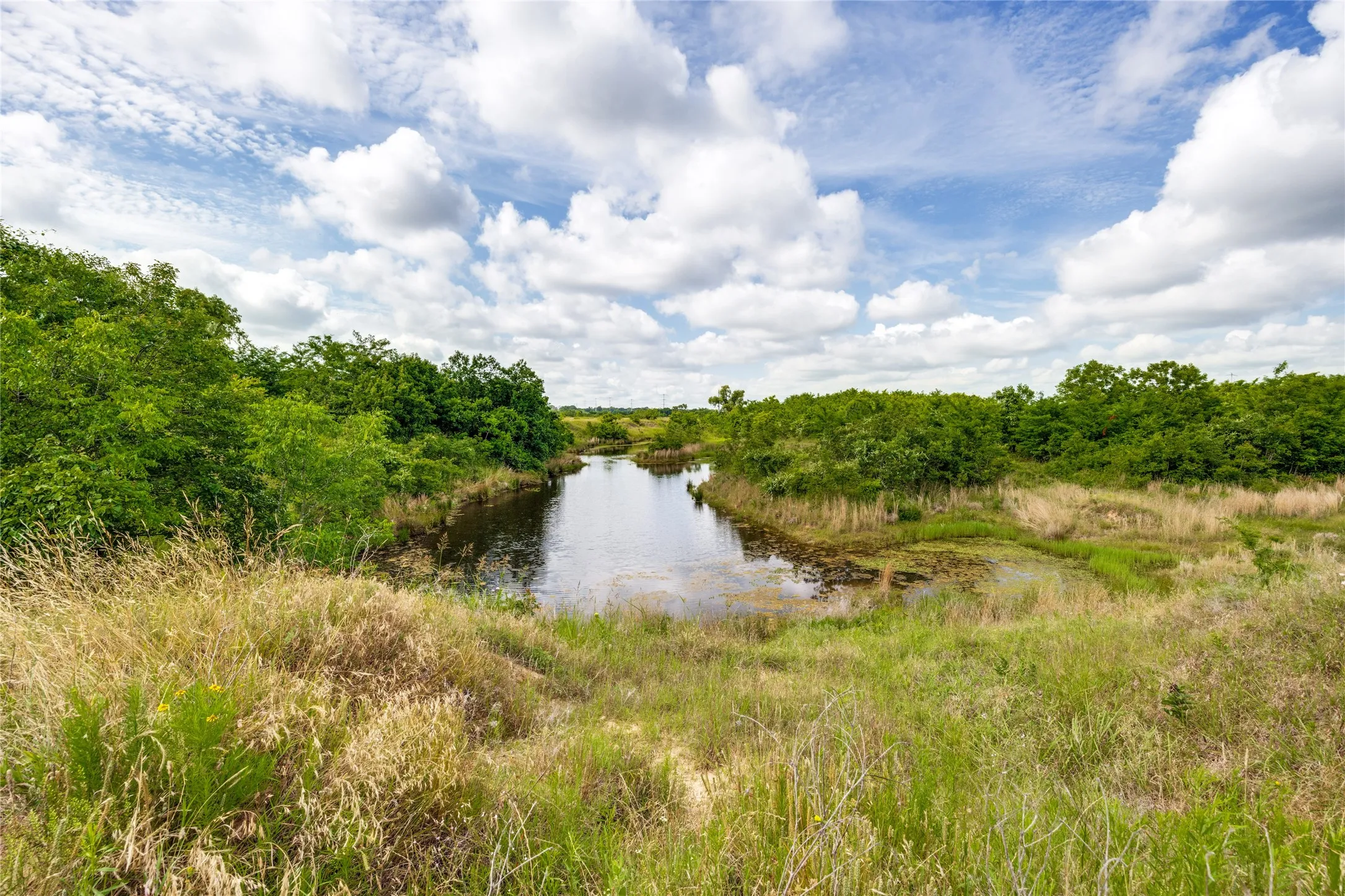 Savoy, TX 76479