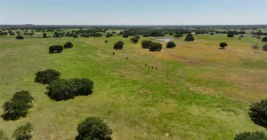 Goldthwaite, TX 76866